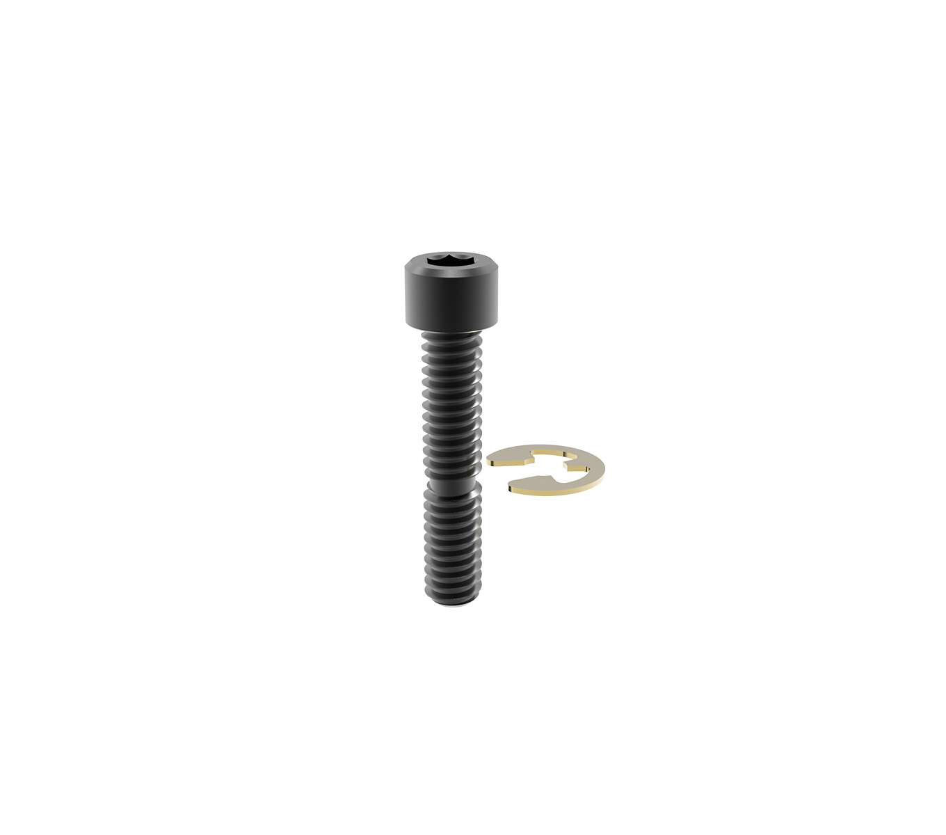 Bolt Kit (Bolt and Ret Ring)