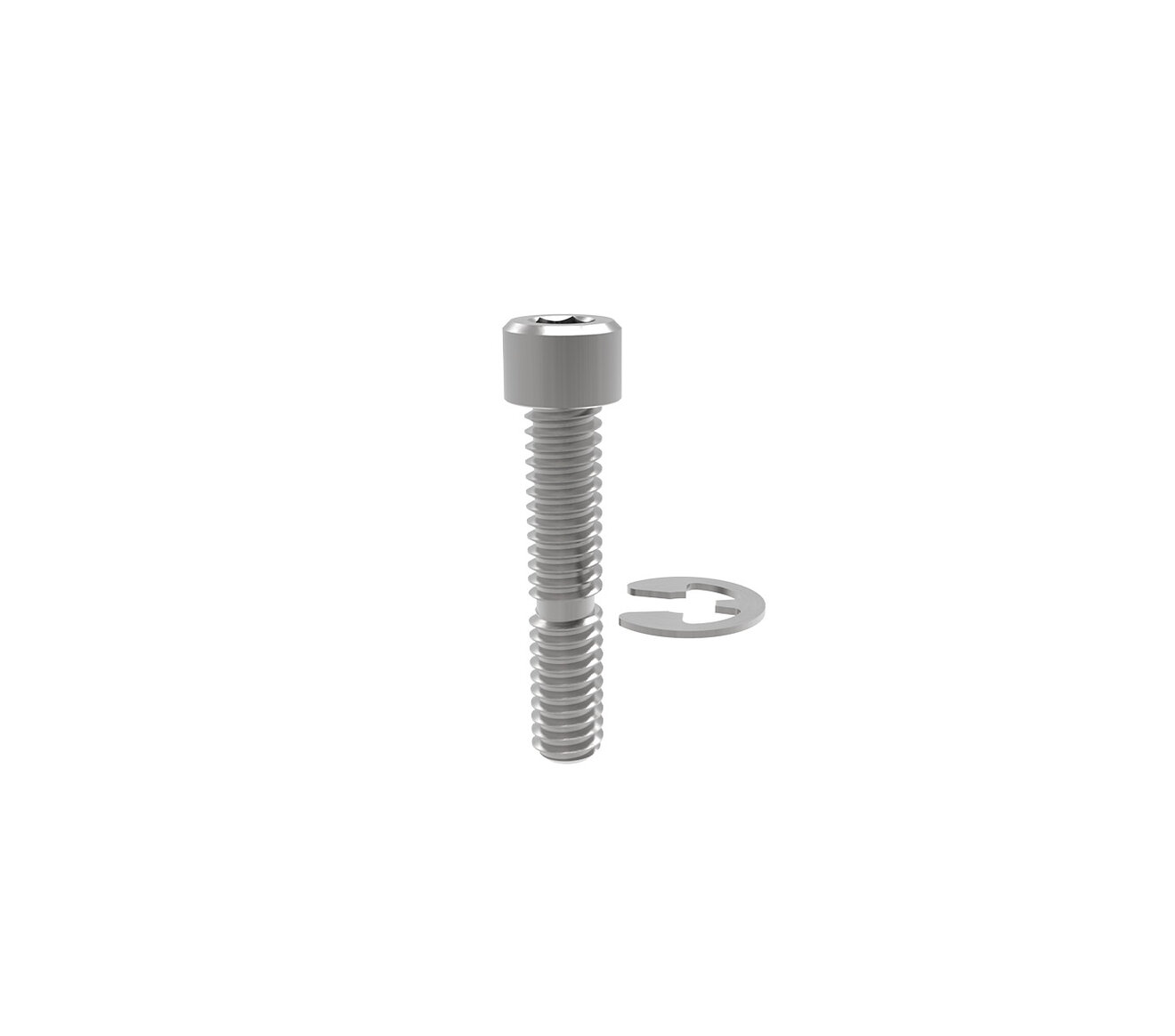 Bolt Kit Stainless Steel (Bolt and Ret Ring)